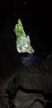 Whangarai/Abbey Caves